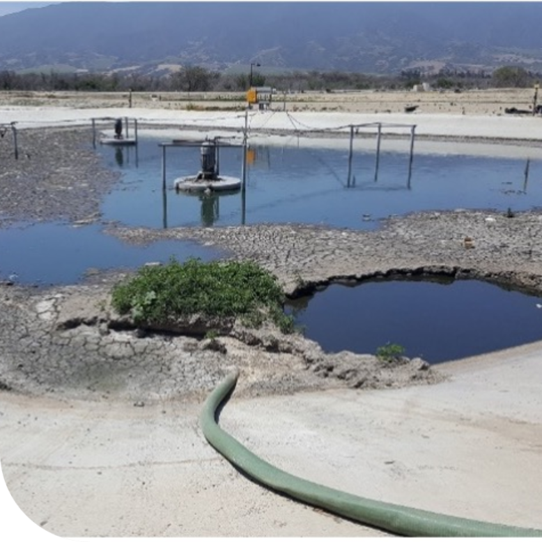 Sludge islands and cracked deposits covering much of a wastewater lagoon's usable treatment volume.